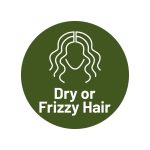 Dry or Frizzy Hair (2)